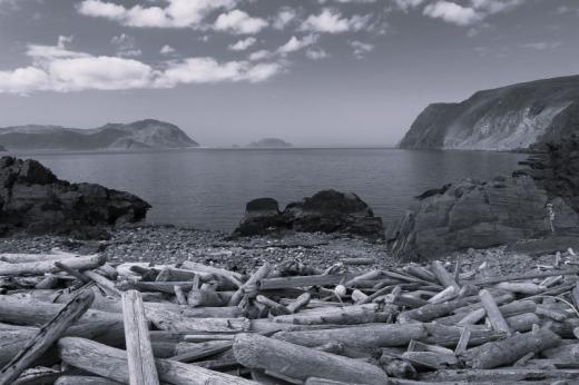 Vyplavené dřevo, ostrov Magerøya. 